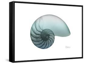 Water Snail 4-Albert Koetsier-Framed Stretched Canvas