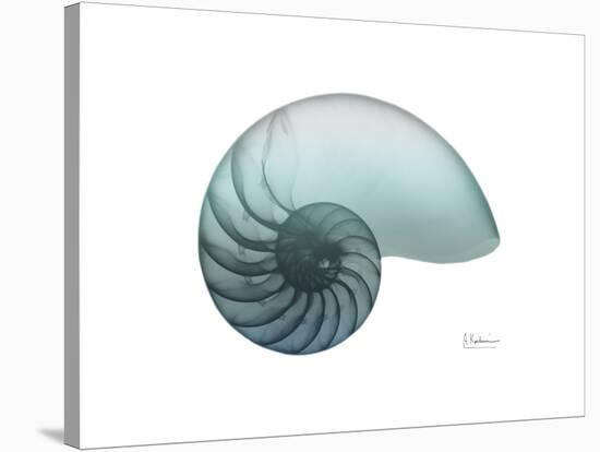 Water Snail 4-Albert Koetsier-Stretched Canvas