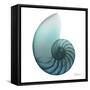 Water Snail 4-Albert Koetsier-Framed Stretched Canvas