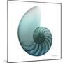 Water Snail 4-Albert Koetsier-Mounted Art Print