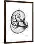 Water Snail Shell Gray-Albert Koetsier-Framed Art Print