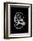 Water Snail Shell Xray-Albert Koetsier-Framed Premium Giclee Print