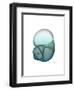 Water Snail-Albert Koetsier-Framed Art Print