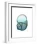 Water Snail-Albert Koetsier-Framed Art Print