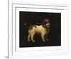 Water Spaniel-George Stubbs-Framed Premium Giclee Print