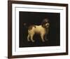 Water Spaniel-George Stubbs-Framed Premium Giclee Print