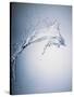 Water Splash-Taro Yamada-Stretched Canvas