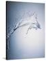 Water Splash-Taro Yamada-Stretched Canvas