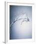 Water Splash-Taro Yamada-Framed Premium Photographic Print
