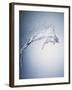 Water Splash-Taro Yamada-Framed Premium Photographic Print