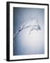 Water Splash-Taro Yamada-Framed Premium Photographic Print