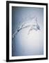 Water Splash-Taro Yamada-Framed Photographic Print