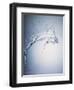 Water Splash-Taro Yamada-Framed Photographic Print