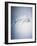 Water Splash-Taro Yamada-Framed Photographic Print