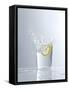 Water Splashing Out of a Glass-Karl Newedel-Framed Stretched Canvas