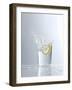 Water Splashing Out of a Glass-Karl Newedel-Framed Photographic Print