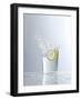 Water Splashing Out of a Glass-Karl Newedel-Framed Photographic Print