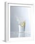 Water Splashing Out of a Glass-Karl Newedel-Framed Photographic Print