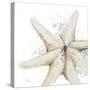 Water Starfish-Patricia Pinto-Stretched Canvas