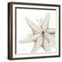 Water Starfish-Patricia Pinto-Framed Art Print