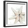 Water Starfish-Patricia Pinto-Framed Art Print