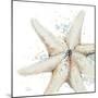 Water Starfish-Patricia Pinto-Mounted Art Print