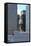 Water storage tank, New York City, USA. financial district, Manhattan. September 16, 2012-Gilles Targat-Framed Stretched Canvas