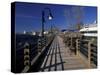 Water Street Walkway along Cape Fear River, Wilmington, North Carolina-Walter Bibikow-Stretched Canvas