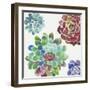 Water Succulents I-Aimee Wilson-Framed Art Print