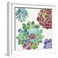 Water Succulents I-Aimee Wilson-Framed Art Print