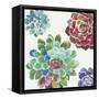Water Succulents I-Aimee Wilson-Framed Stretched Canvas