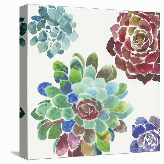 Water Succulents I-Aimee Wilson-Stretched Canvas