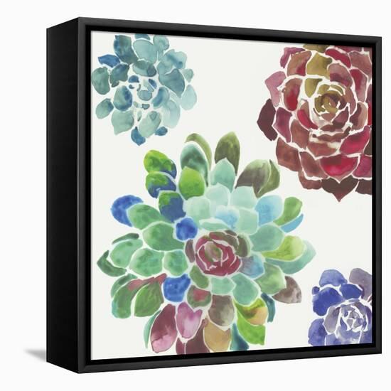 Water Succulents I-Aimee Wilson-Framed Stretched Canvas