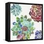 Water Succulents I-Aimee Wilson-Framed Stretched Canvas
