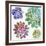 Water Succulents II-Aimee Wilson-Framed Art Print