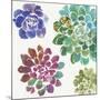 Water Succulents II-Aimee Wilson-Mounted Art Print