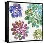 Water Succulents II-Aimee Wilson-Framed Stretched Canvas