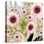 Water Sunflowers-Mindy Sommers-Stretched Canvas