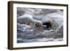 Water Swirling Over Rocks-Anthony Paladino-Framed Giclee Print