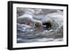 Water Swirling Over Rocks-Anthony Paladino-Framed Giclee Print