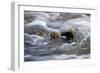 Water Swirling Over Rocks-Anthony Paladino-Framed Giclee Print