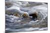 Water Swirling Over Rocks-Anthony Paladino-Mounted Giclee Print