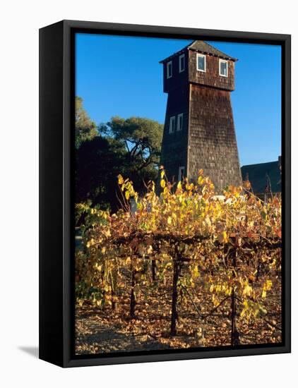 Water Tank Tower at the Handley Cellars Winery, Mendocino County, California, USA-John Alves-Framed Stretched Canvas