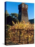 Water Tank Tower at the Handley Cellars Winery, Mendocino County, California, USA-John Alves-Stretched Canvas