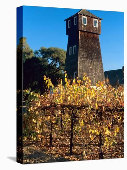 Water Tank Tower at the Handley Cellars Winery, Mendocino County, California, USA-John Alves-Stretched Canvas
