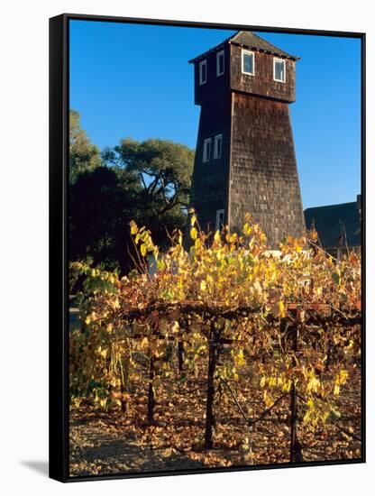 Water Tank Tower at the Handley Cellars Winery, Mendocino County, California, USA-John Alves-Framed Stretched Canvas