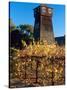 Water Tank Tower at the Handley Cellars Winery, Mendocino County, California, USA-John Alves-Stretched Canvas