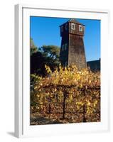 Water Tank Tower at the Handley Cellars Winery, Mendocino County, California, USA-John Alves-Framed Premium Photographic Print