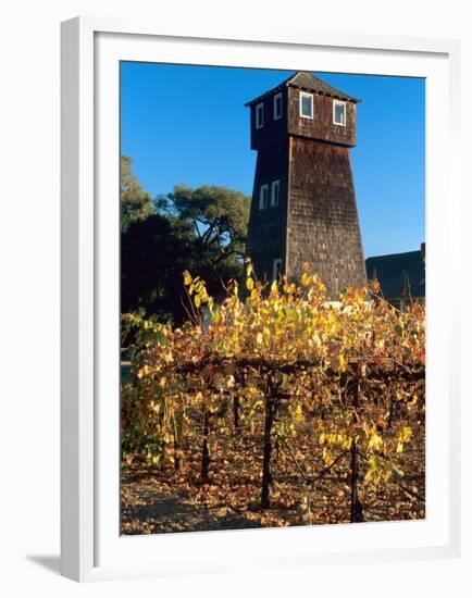 Water Tank Tower at the Handley Cellars Winery, Mendocino County, California, USA-John Alves-Framed Premium Photographic Print