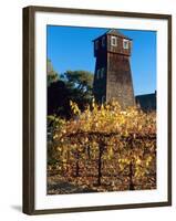 Water Tank Tower at the Handley Cellars Winery, Mendocino County, California, USA-John Alves-Framed Premium Photographic Print